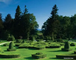 Northern Hills Amenities - Multi-Purpose Lawn